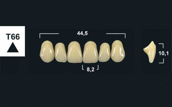 upper anterior denture teeth tribos 501
