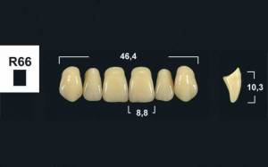 upper anterior denture teeth tribos 501