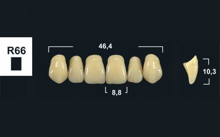 237xx_Frontzaehne_R66_oberkiefer_tribos-501.jpg upper anterior denture teeth tribos 501