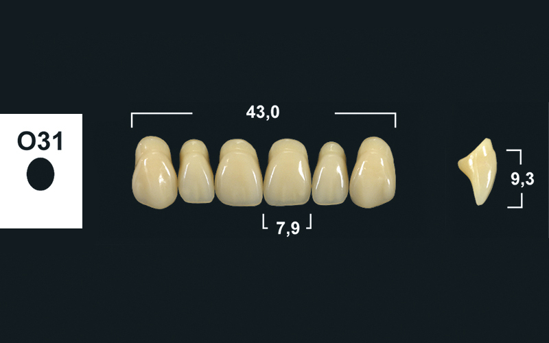 upper anterior denture teeth tribos 501