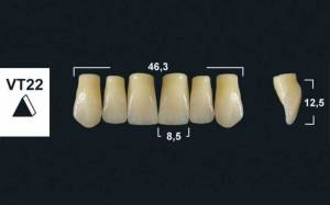 upper anterior denture teeth tribos 501