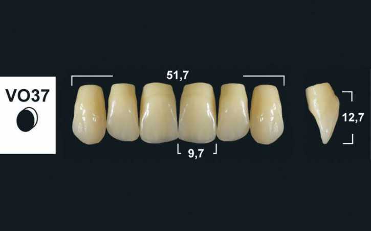 upper anterior denture teeth tribos 501
