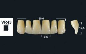 upper anterior denture teeth tribos 501