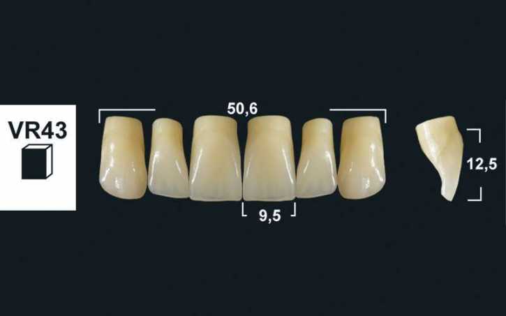 upper anterior denture teeth tribos 501