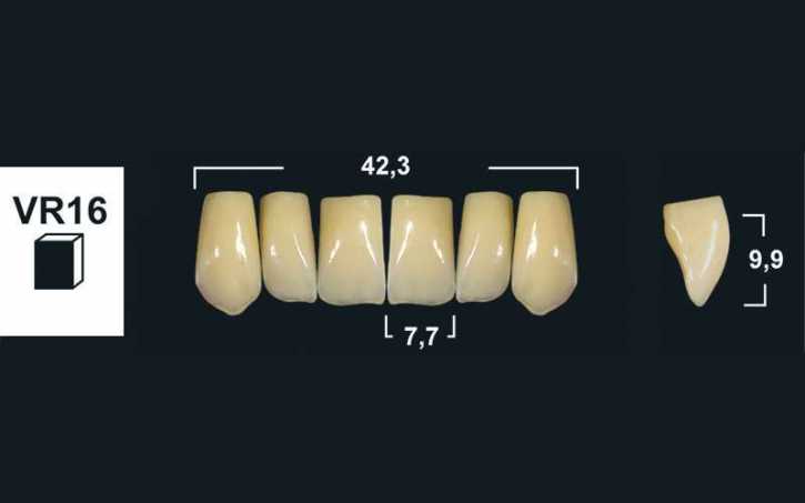 244xx_Frontzaehne_VR16_oberkiefer-tribos-501.jpg upper anterior denture teeth tribos 501