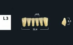 lower anterior denture teeth tribos 501
