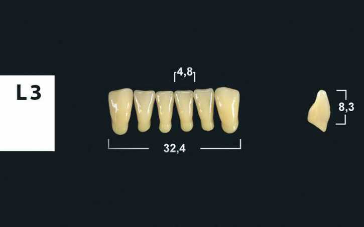 lower anterior denture teeth tribos 501