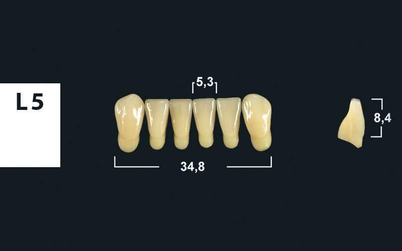 lower anterior denture teeth tribos 501