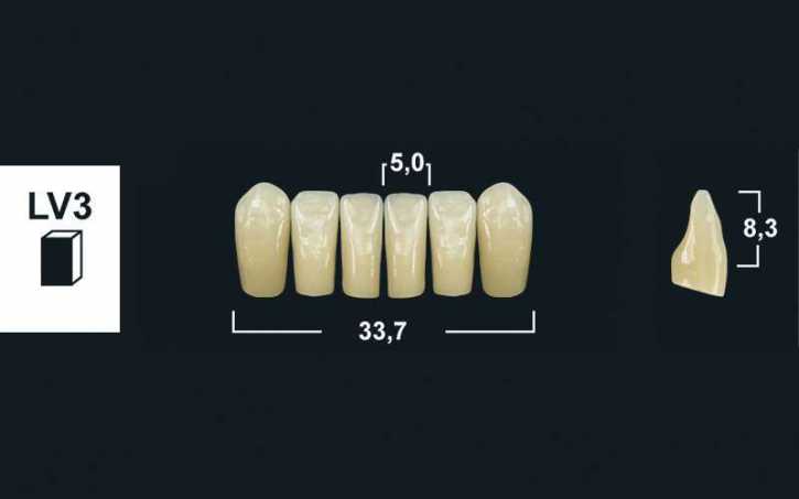 lower anterior denture teeth tribos 501