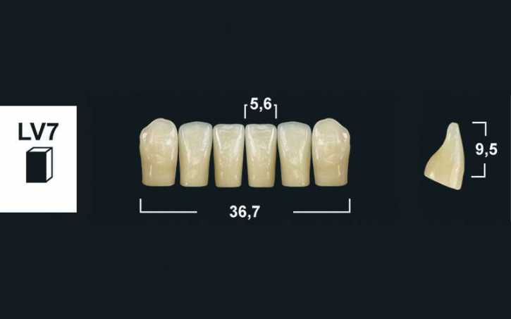 lower anterior denture teeth tribos 501