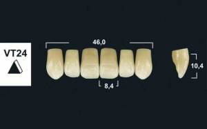upper anterior denture teeth tribos 501