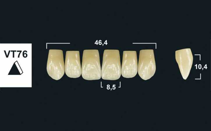 281xx_Frontzaehne_VT76_oberkiefer_tribos-501.jpg upper anterior denture teeth tribos 501