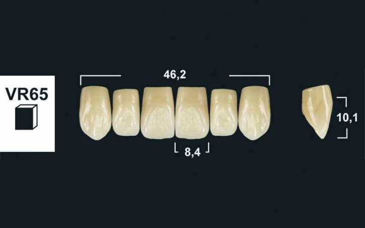 283xx_Frontzaehne_VR65_oberkiefer_tribos-501.jpg upper anterior denture teeth tribos 501