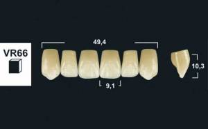 upper anterior denture teeth tribos 501