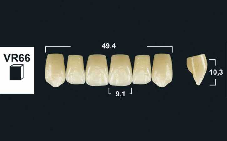 upper anterior denture teeth tribos 501