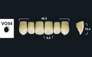 upper anterior denture teeth tribos 501