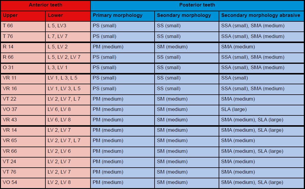 denture teeth table size comparison